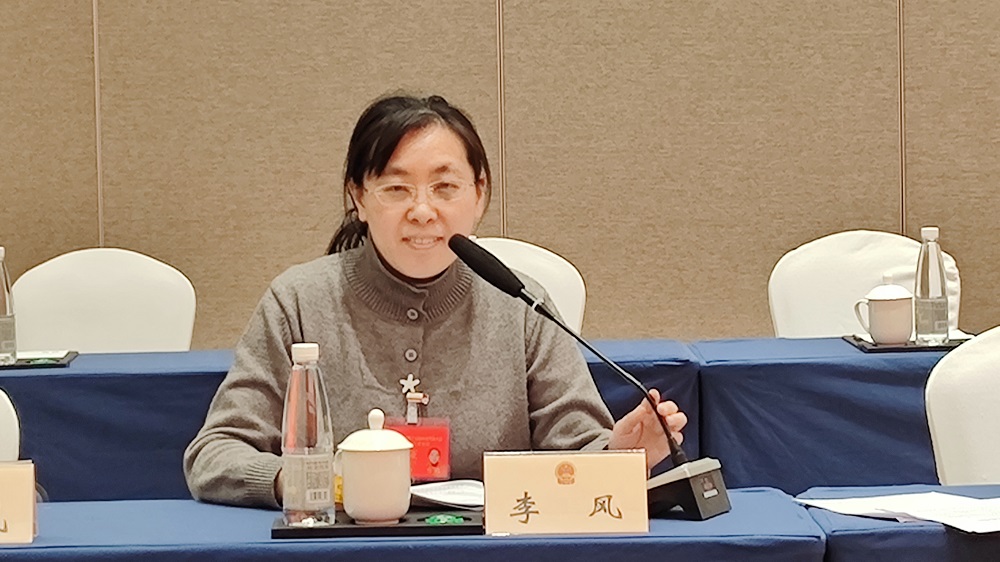 发言